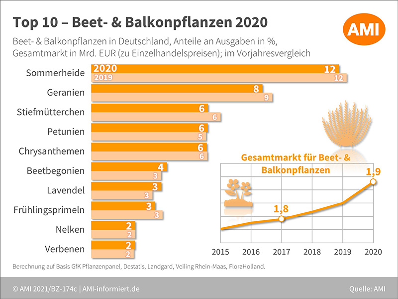 Top 10 der Beet- & Balkonpflanzen in Deutschland