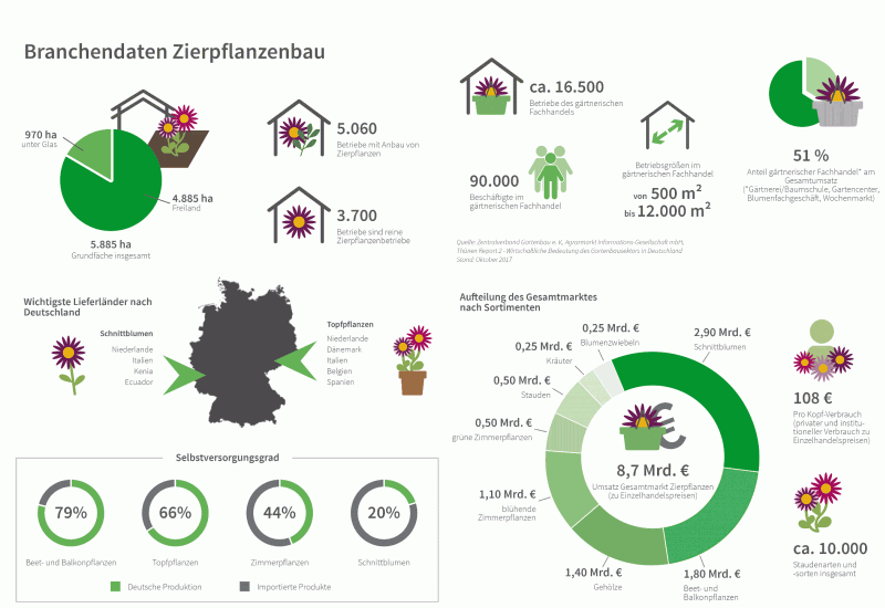 Branchendaten BVZ