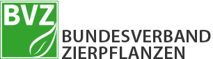 logo_bvz