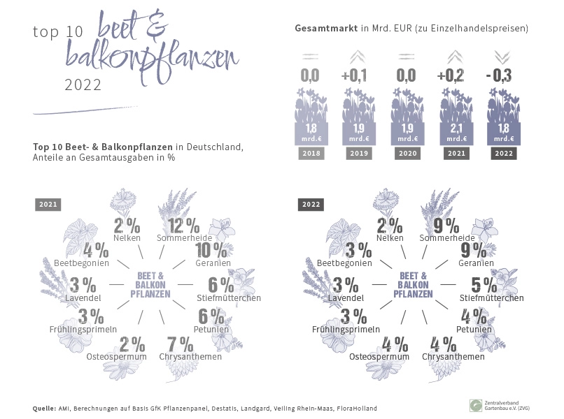 top_10_beet_balkonpflanzen_2022