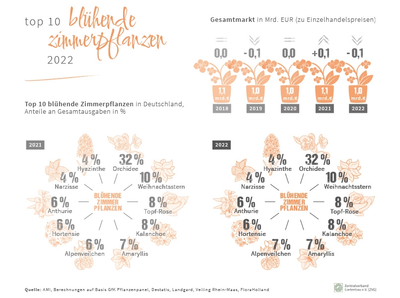 top_10_bluehende_Zimmerpflanzen_2022