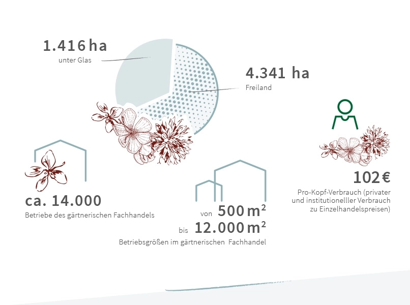 Branchendaten_Zierpflanzenbau_2025